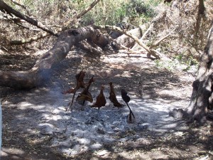 Goat's parts on sticks in bed of hot coals