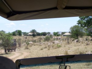 Sayari tent camp