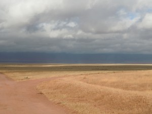 A view of the flat crater floor