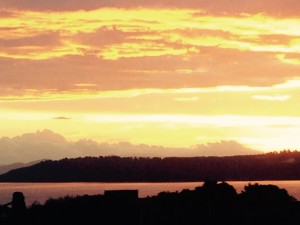 IMG_0659