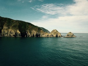 IMG_0729