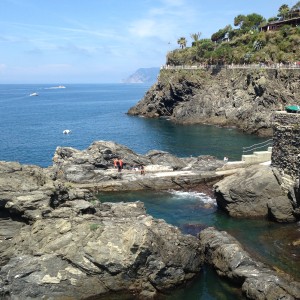 Cinque Manarola harbor:shore scene